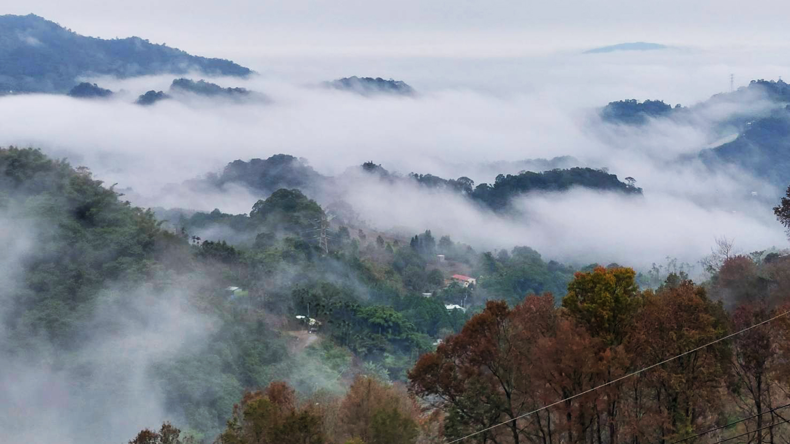 雲閒居民宿｜台中包棟 圖片